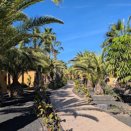 Casa Miro Lejlighed Corralejo Eksteriør billede