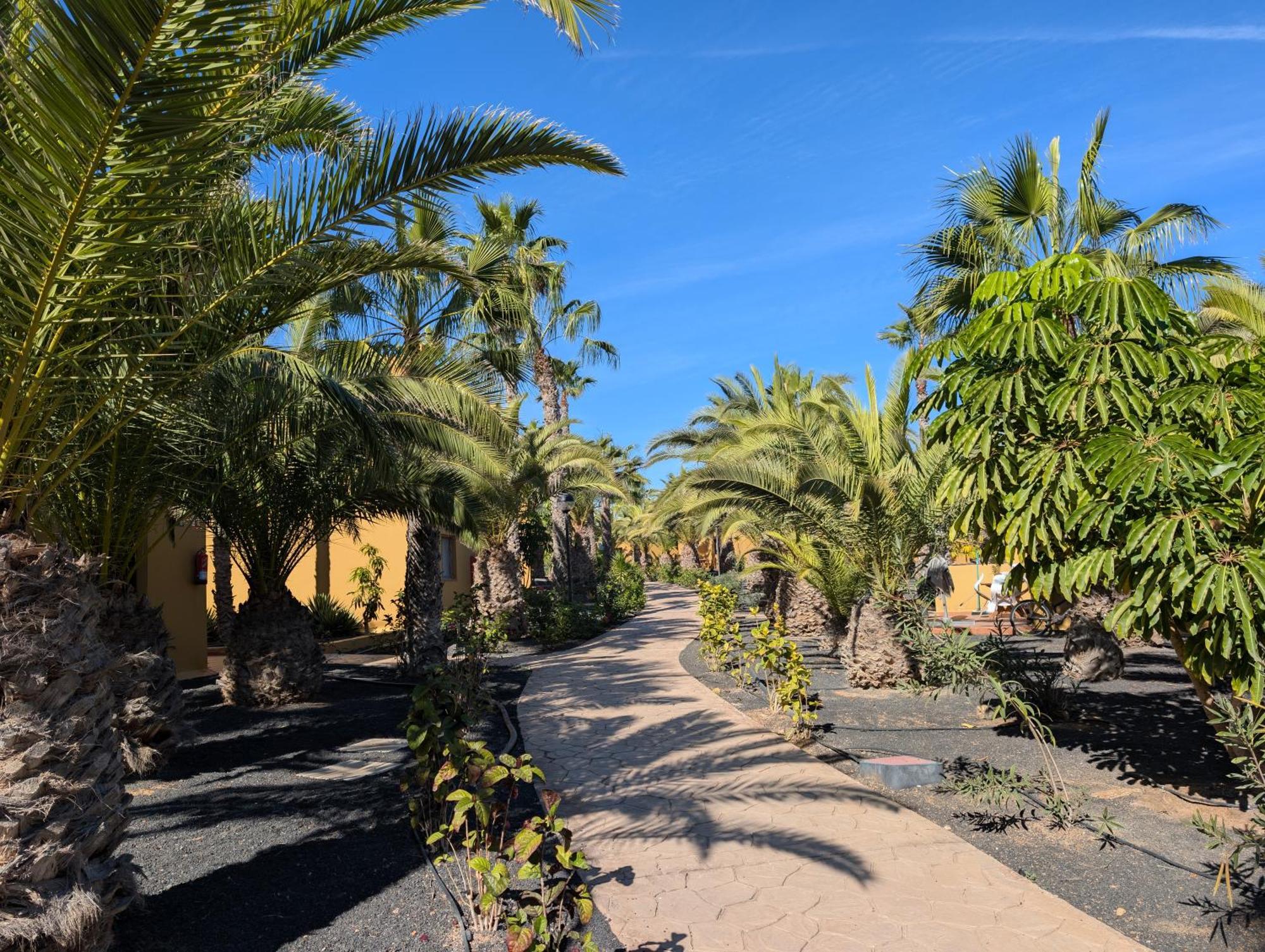 Casa Miro Lejlighed Corralejo Eksteriør billede